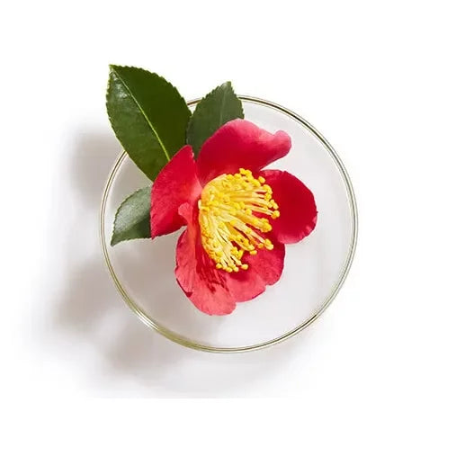 TSUBAKI Premium Moist & Repair Conditioner 450ml