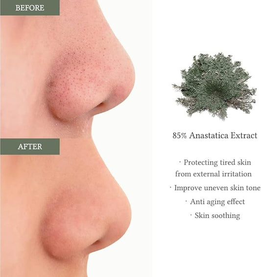 Dr. Althea Anastatica Skin Conditioning Pad