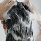 Fino Premium Touch Shampoo 550ml.