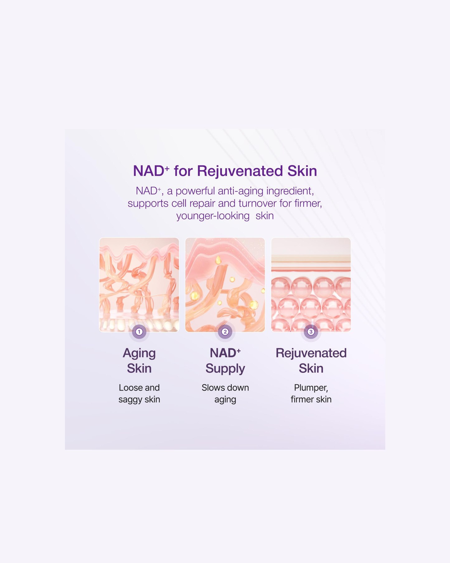 NUMBUZIN No.9+ NAD+ BIO Lifting-sil Essence 50ml